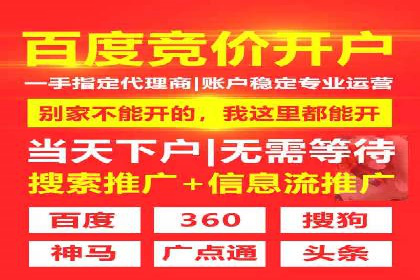 SEM代理助力品牌：案例解析，优化策略全揭秘